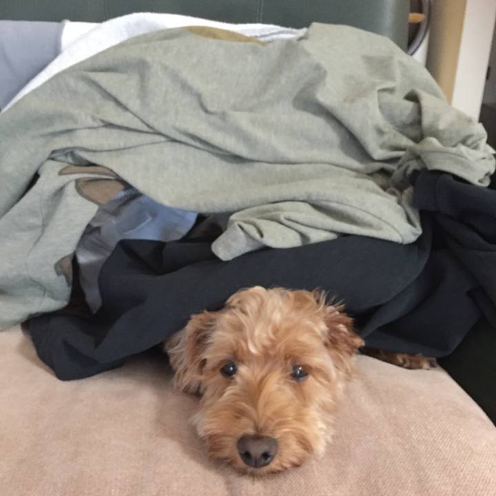 Af8533ea 4c69 43b8 b7e6 24b897cc1222