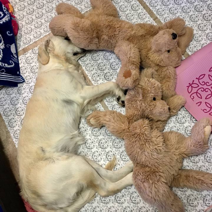 Af853b4a c9a9 4140 b104 9569179920bb