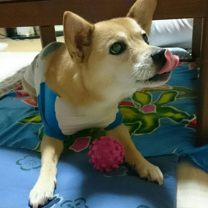 Af8541dc acac 4dcf 8423 5d0b6a56ab04