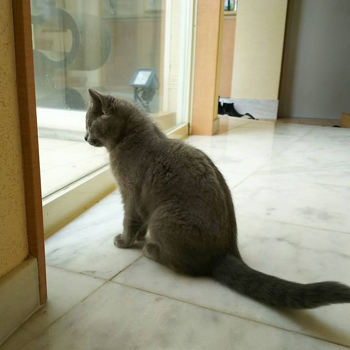 Af8556da 0a57 484c b2e1 7edbaf750a89