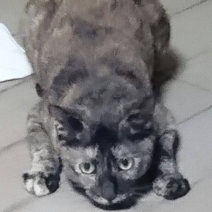 Af86ccc7 6817 4c0a 8de2 d980b12d428c