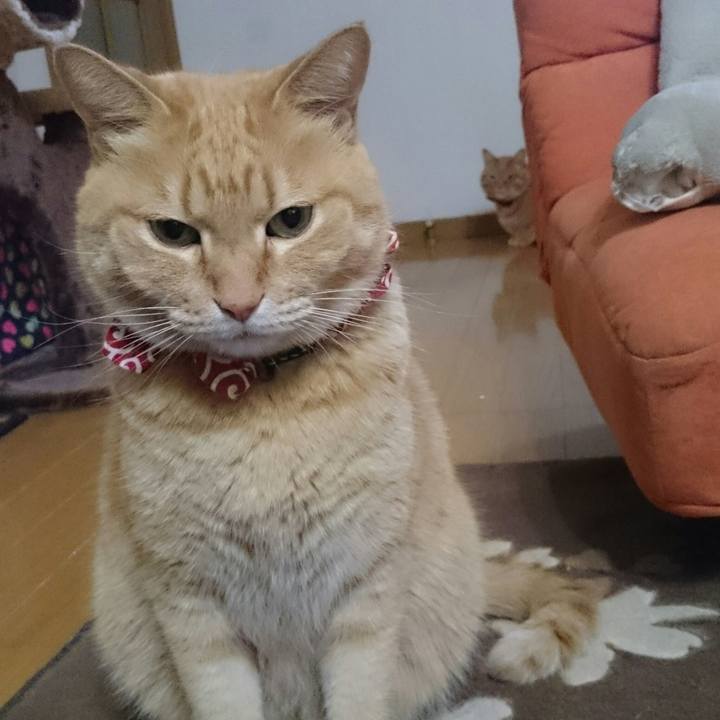 Af87733f 5e44 4ea7 9362 156b885253b3