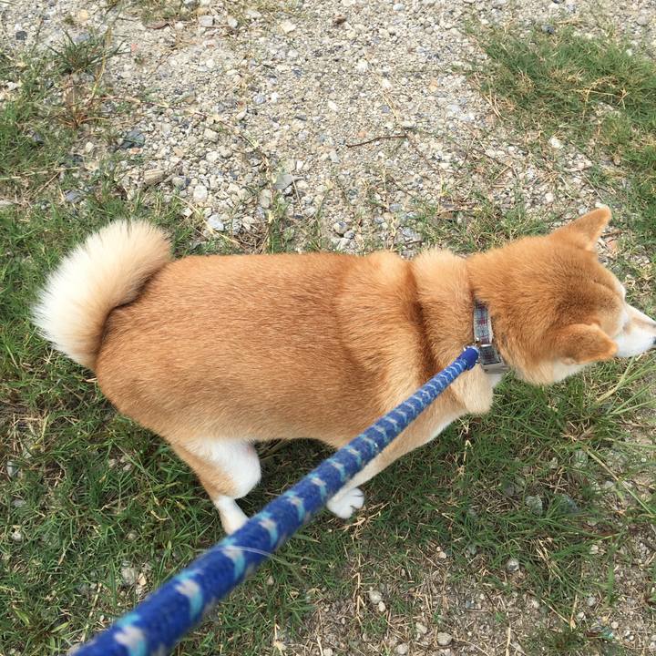 Af888726 f29a 4999 b598 108b342f896a