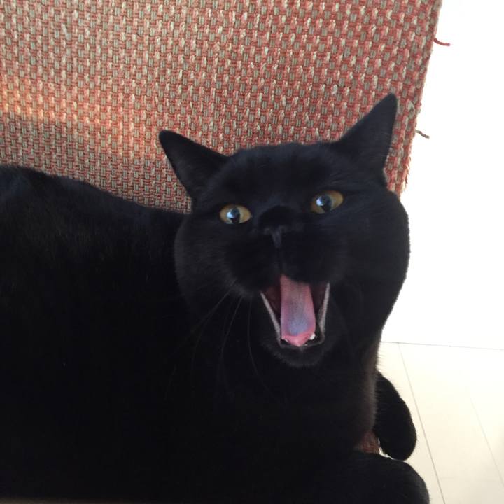 Af88d9e6 8a9b 494e 9fdd eb92488048e9