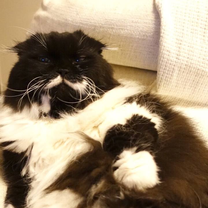 Af8943ed b64c 44d6 b546 550ed7c138c2