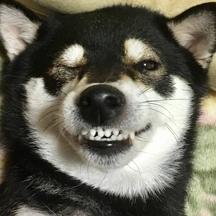 Af897736 47d2 4969 9c4e e6efb73a3661