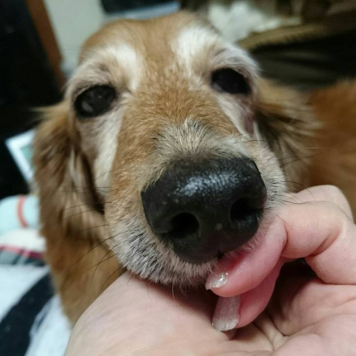 Af8ae3ff 778a 4428 b218 f2515a5b51df