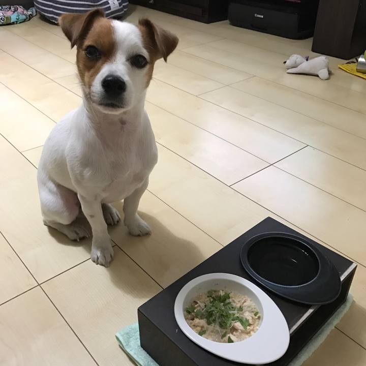 Af8afff0 6003 4be0 8d22 c029c0756ec0