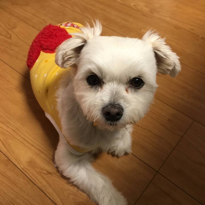 Af8b5695 5a0c 45e0 ba38 26888f3b9e58