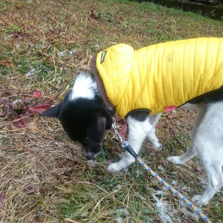 Af8b95ea 6580 4b05 9b03 15b96c36f8f7