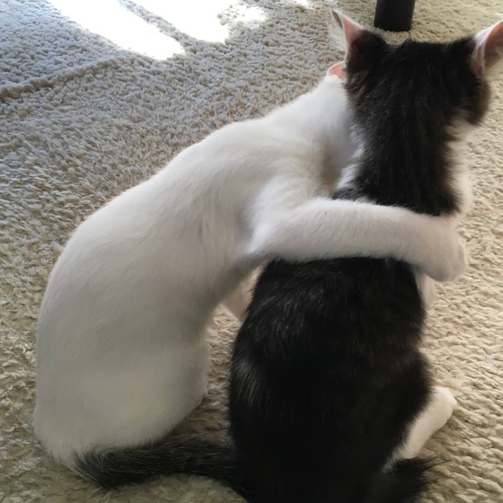 Af8c3cf9 89ff 48e5 a172 78d0e46d1d32