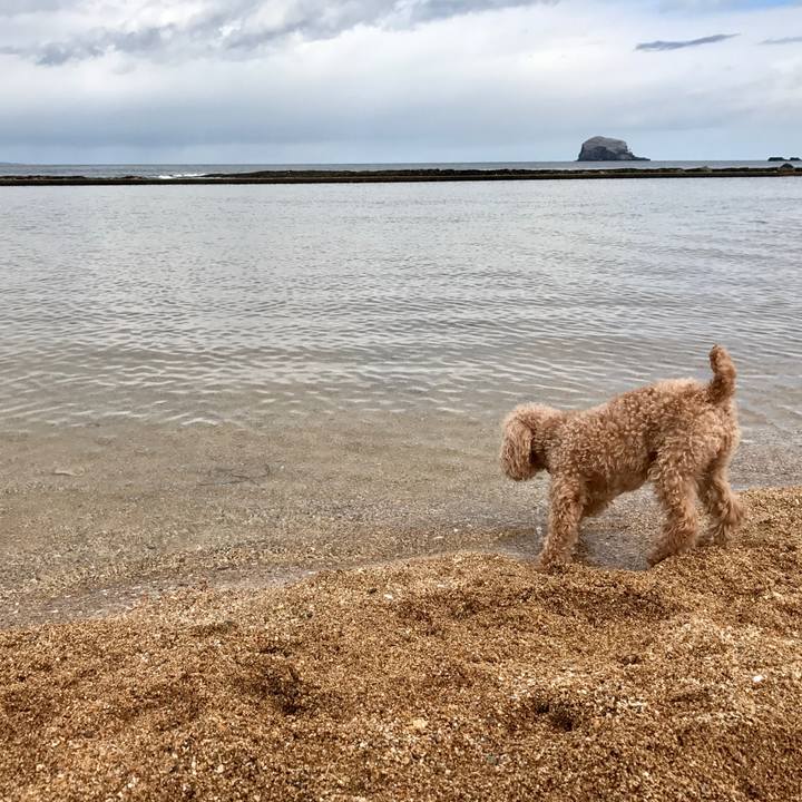 Af8d1efe 561e 41ba a380 9e2ceae86b12