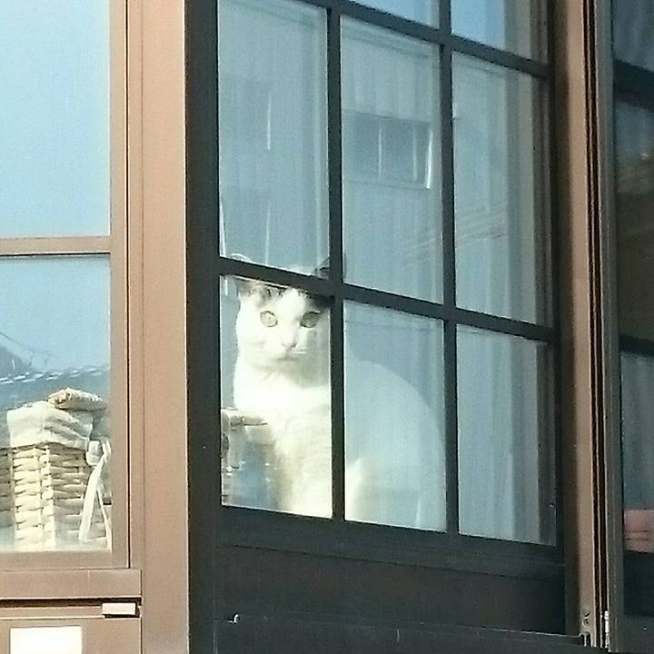 Af8d3b36 67d4 47ba bbca 8c3194655981