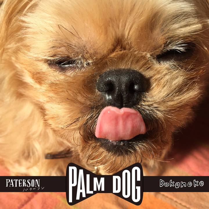 Af8d583c f08d 47af 8d80 07172842f4b9