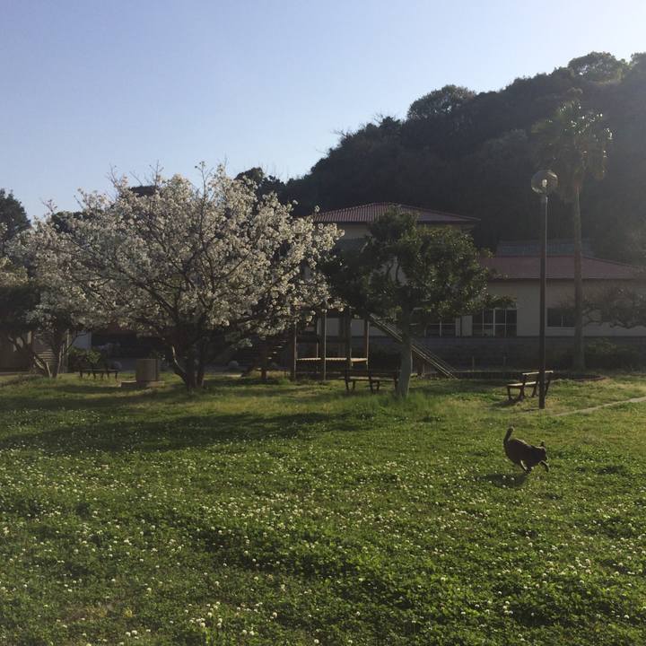 Af8d7611 b8cd 4810 bbf0 9374a87c0457