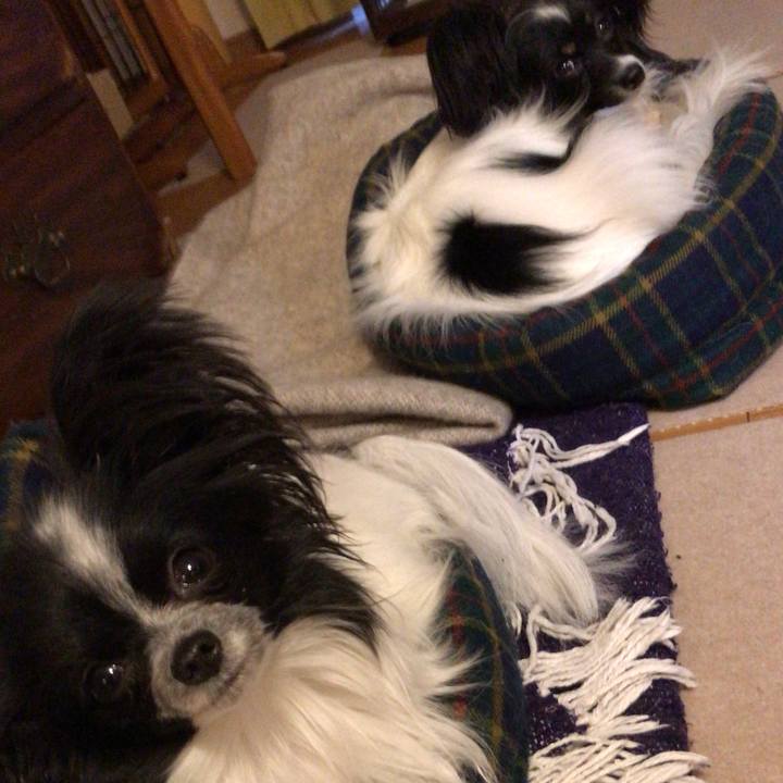 Af8ddcdd 6520 4984 82c3 5b275c8f1b5d