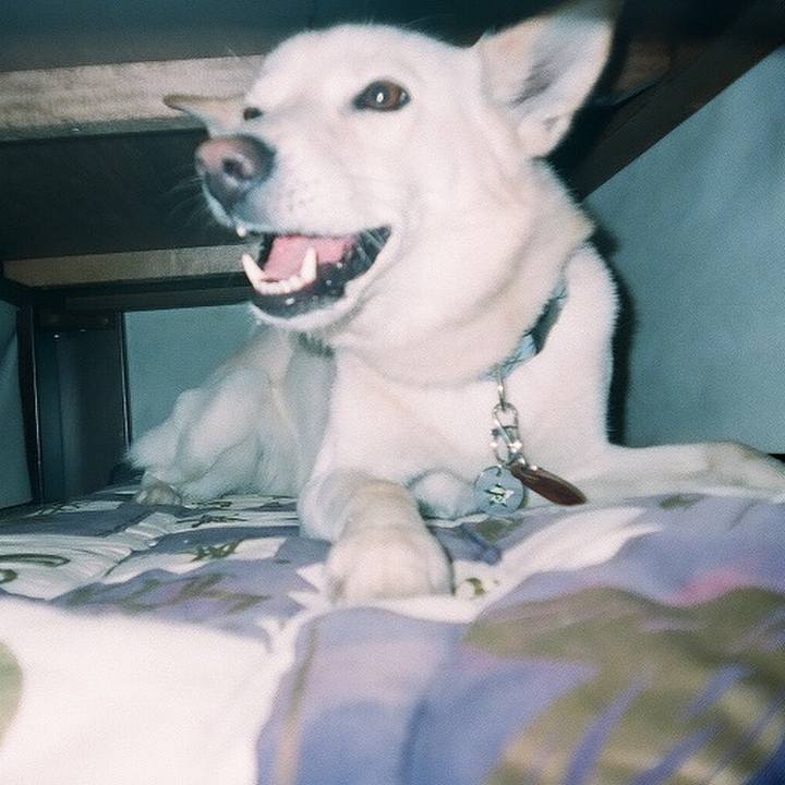 Af8de119 2973 431e bfb5 9621f2055c10