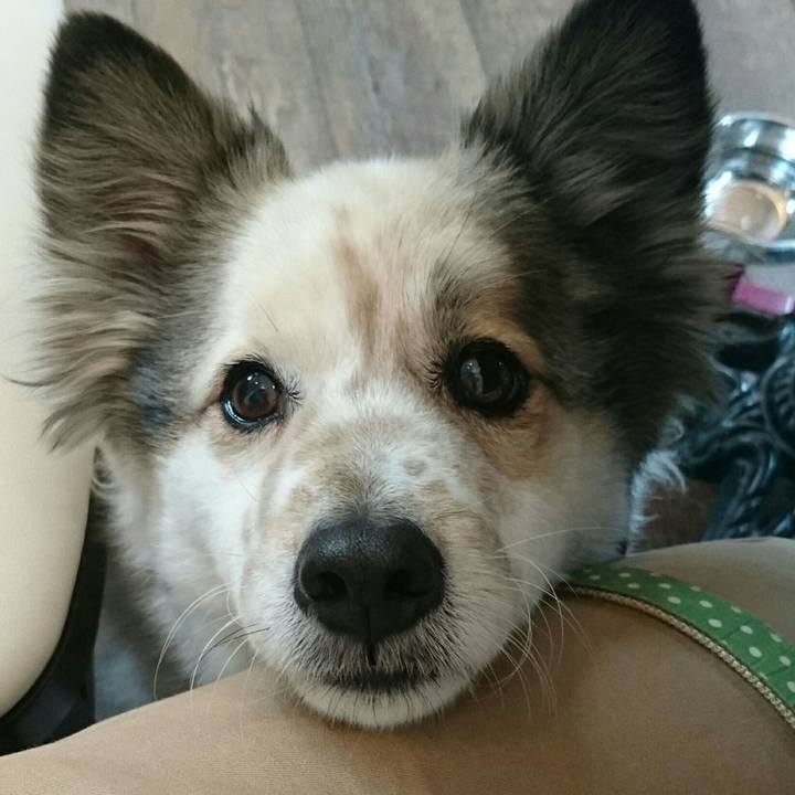 Af8e5f05 652c 4419 8fb6 a176fb6a1ef4