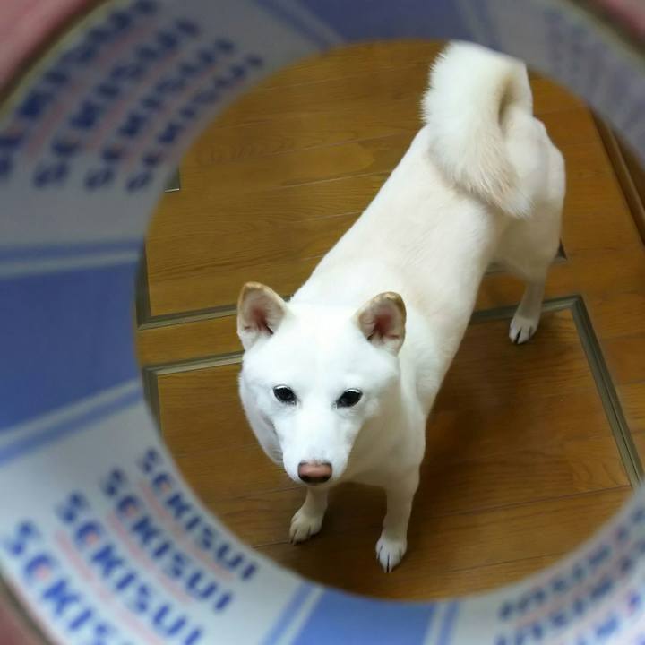 Af8e7d11 ae79 4a35 a3be 39b747b2862a