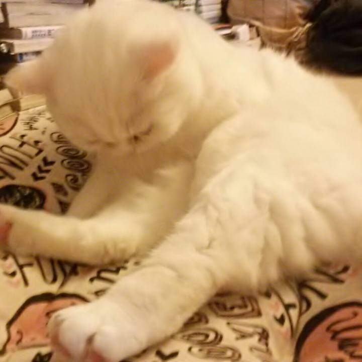 Af8ebec8 9e32 41b2 8e48 4f4315ce1d20