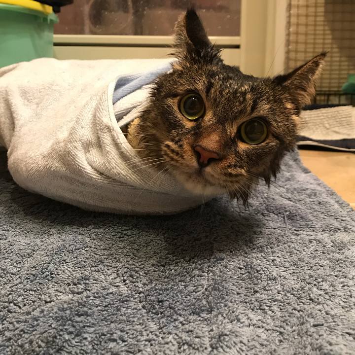 Af8eeea7 abba 45fd 83ec 064591132433