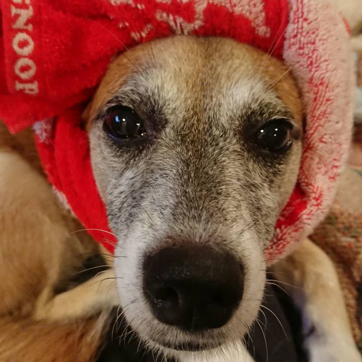 Af8efc7c 5659 4eca 8963 a20c57f7b4d5