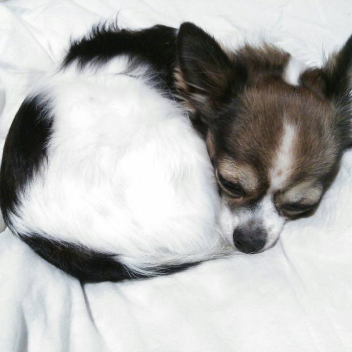 Af8f0b97 82d0 429a 85c2 152f6a8f668e