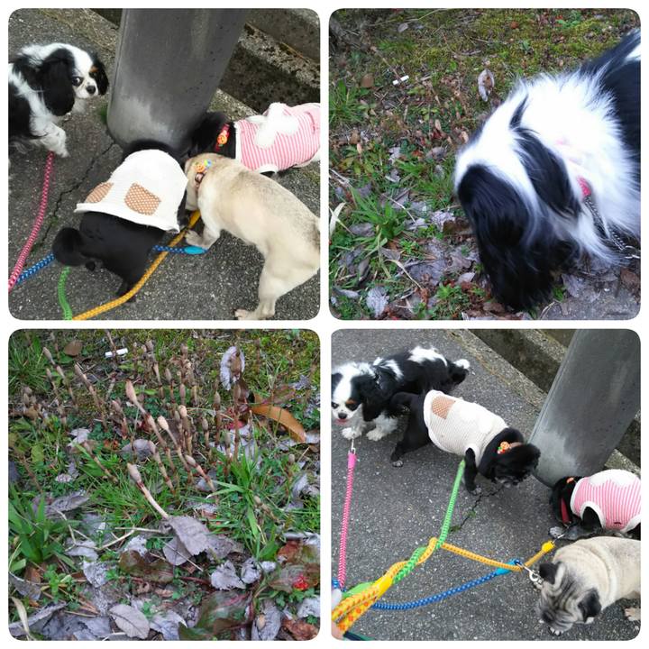 Af8f33ea 0f51 4780 b59a de7915ddde0a