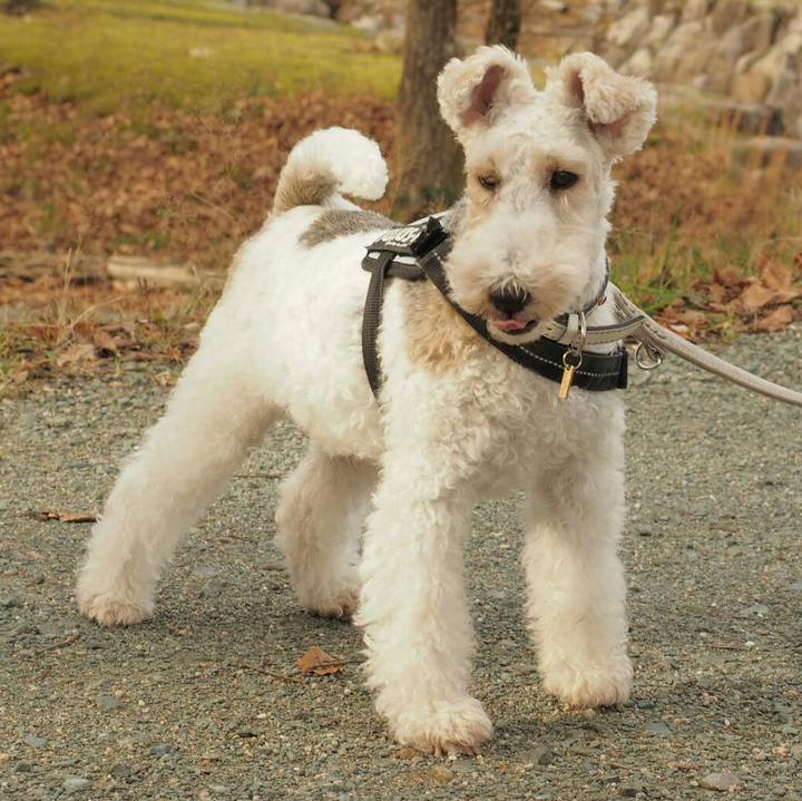 Af8fa9d9 35ac 4e43 8e05 27e034fae968