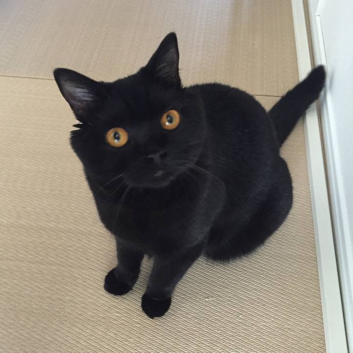 Af8fbb29 f82f 4169 8cbe be5ff63d5af2