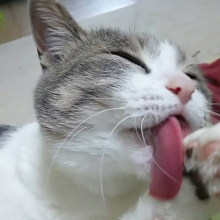 Af902e0c 1f8b 415b aeaa 6a4f21004832