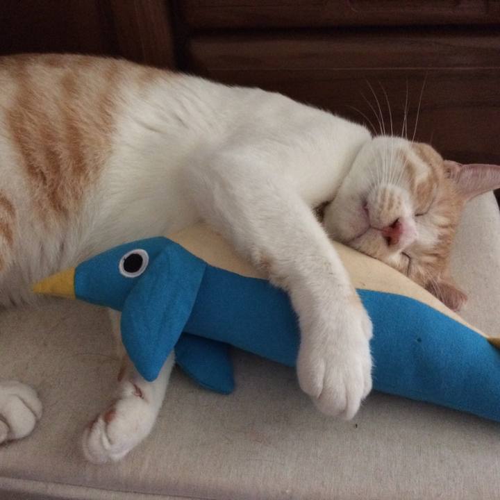 Af9030ca 0687 4c33 be69 bbe977231747