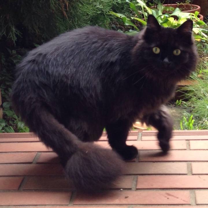 Af90417d 2539 4068 8a78 4f059c5e3576