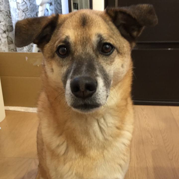 Af911084 8f68 4f9e 990f 00630a3dac9c