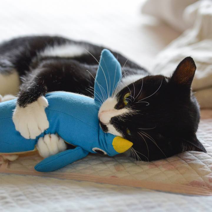 Af91153b d40c 4ec2 a705 ed019c3e950e