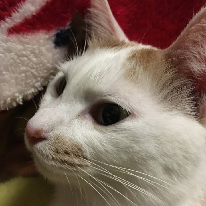 Af915446 ae4e 4af6 abe7 84c156f544c6