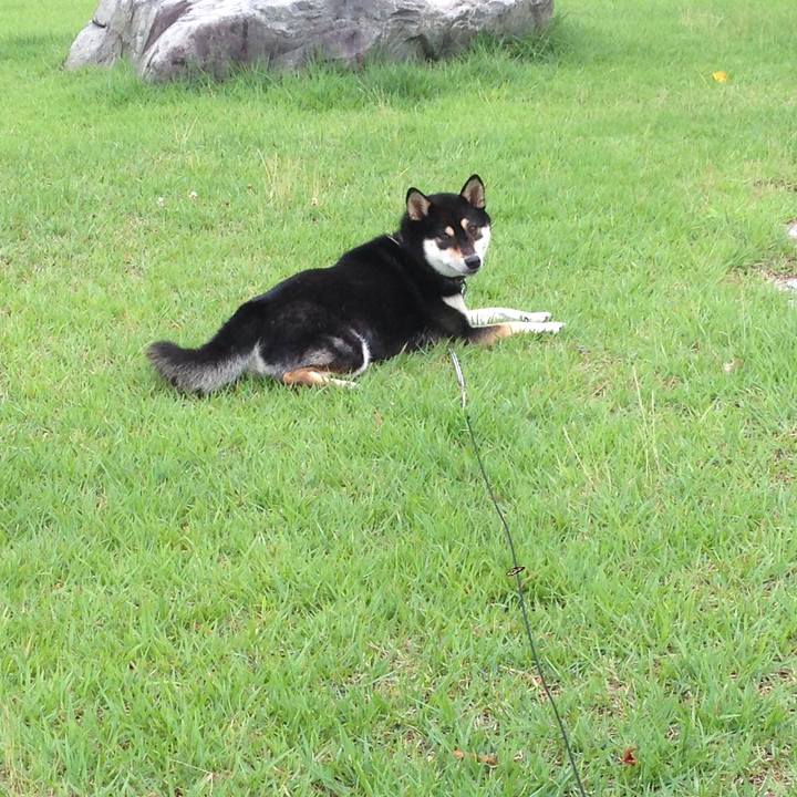 Af919bde 7bee 4961 806f 3f965daf8c2f