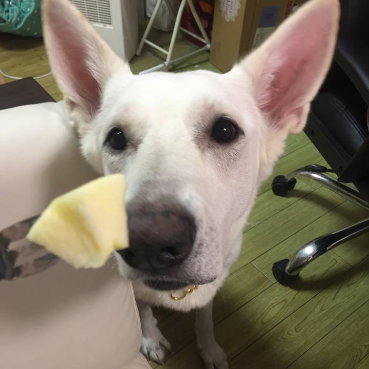 Af91c847 e879 4892 bc02 9ce263ea8f80