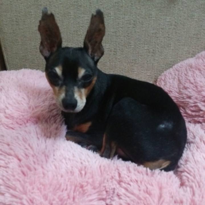 Af9276dc 1c19 483a bbec f6dfaaa827fc