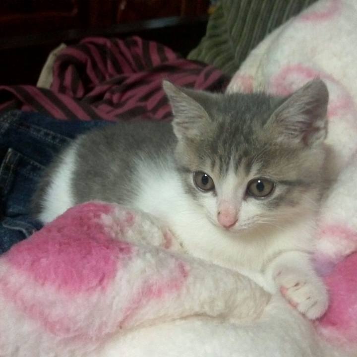 Af9379dc 6f75 4b74 bba9 e0cdbb453d81