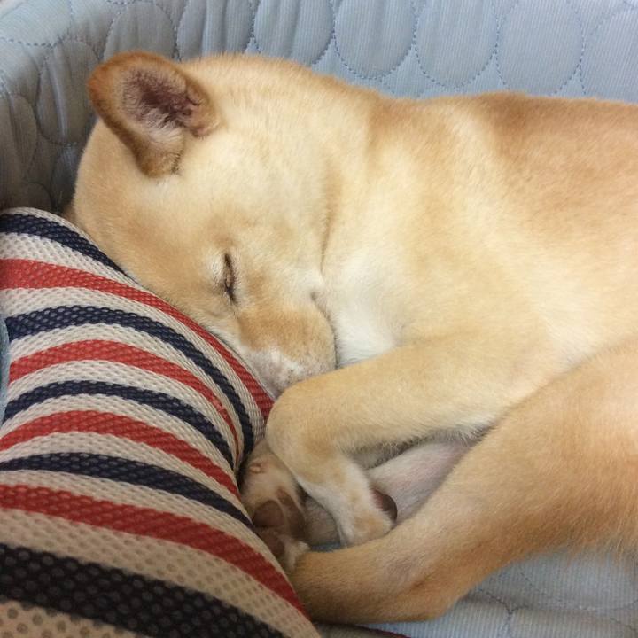 Af93871a f126 46be 8de7 6d409d465c3f