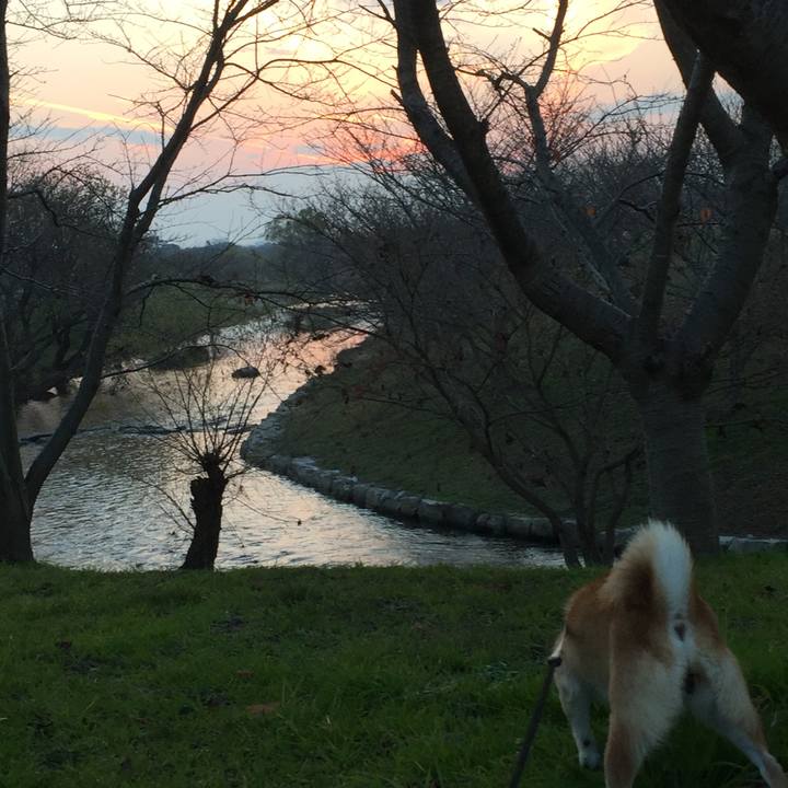 Af93ccc8 7f96 4cb2 aa99 317dc5f6ac81