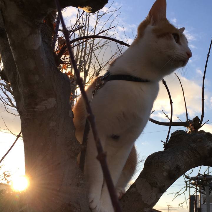 Af95074b 577c 4d70 9698 b3fe9d65f459