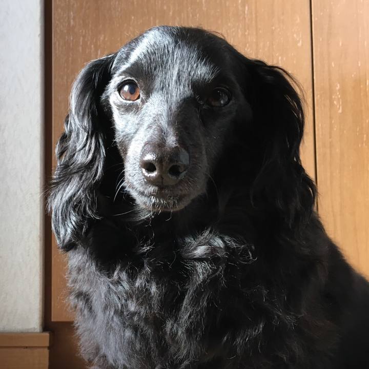 Af959950 a563 4308 b64f ac728a228ef8