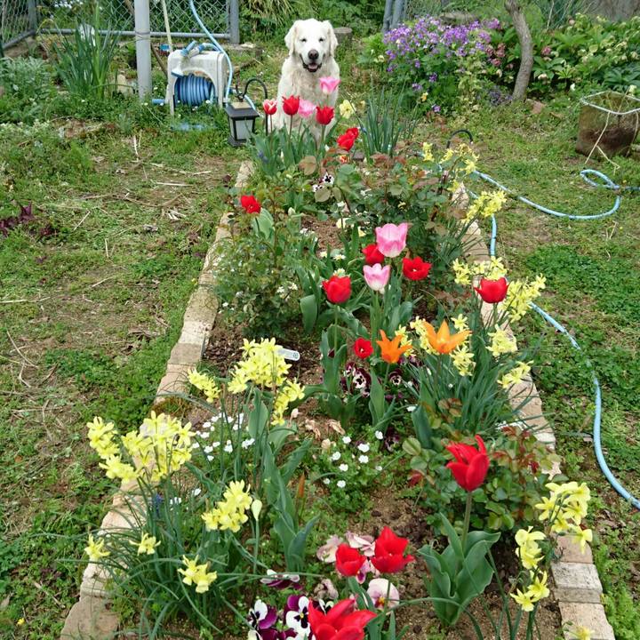 Af959bce be0e 4bb9 8c36 2914ef7439b4