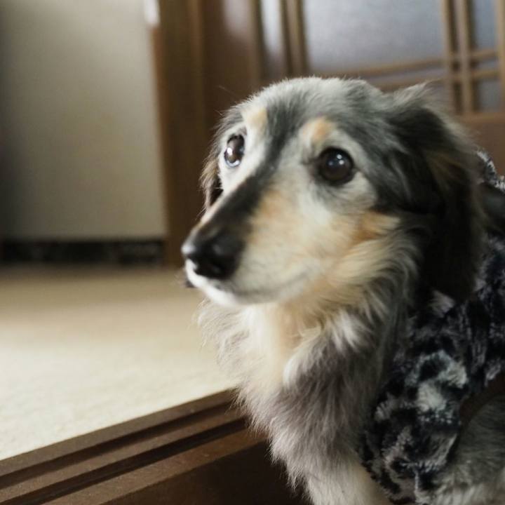 Af959f2e 31c7 4225 a07d 3c0ab699a24b