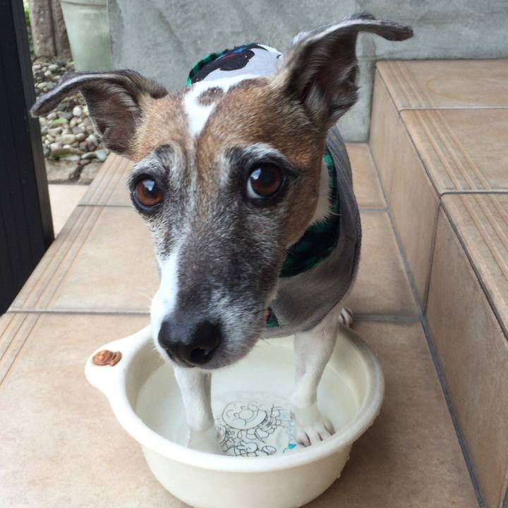 Af973f68 2a87 4e7e a50f d8694532cbbd