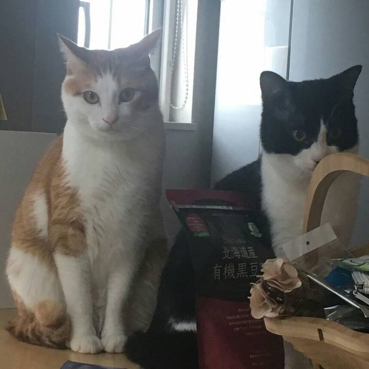 Af978823 82e7 42c3 b1c1 2dfe173c7f18