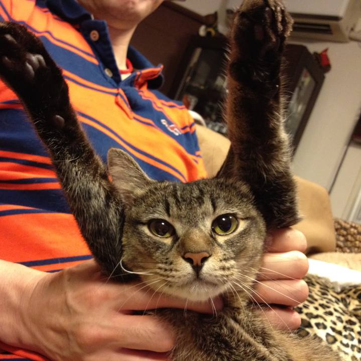 Af97947f a4c1 417c a6c4 b7d16b23467e