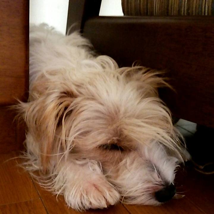 Af97ac34 f942 46da aab5 f9da02842032